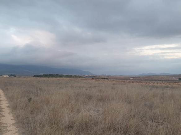 25,200 m² Land in Pinoso - Caza De Casa