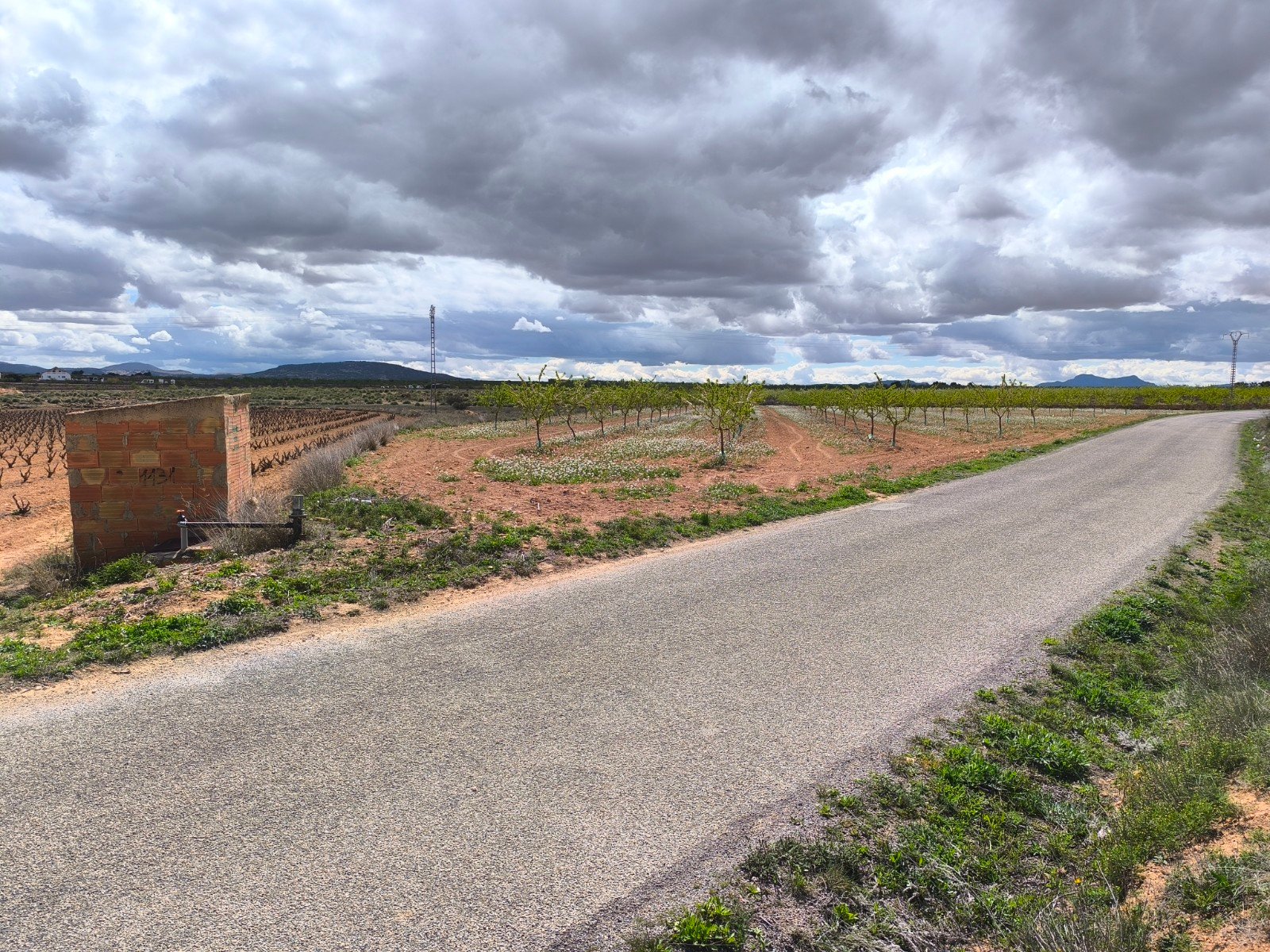 16,137 m² Land in Pinoso - Caza De Casa