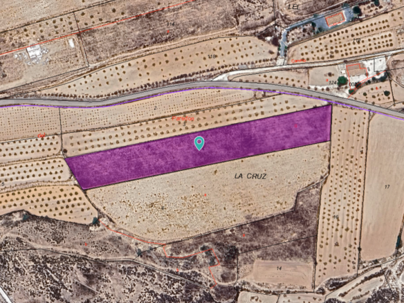 10,014 m² Land in Pinoso - Caza De Casa