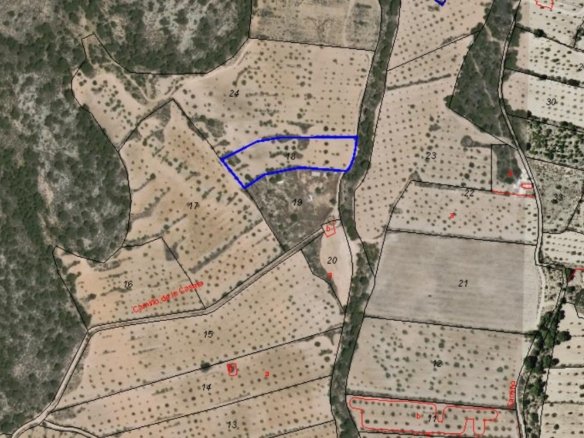 4,797 m² Land in Pinoso - Caza De Casa
