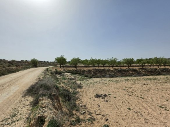 Land in Pinoso - Caza De Casa