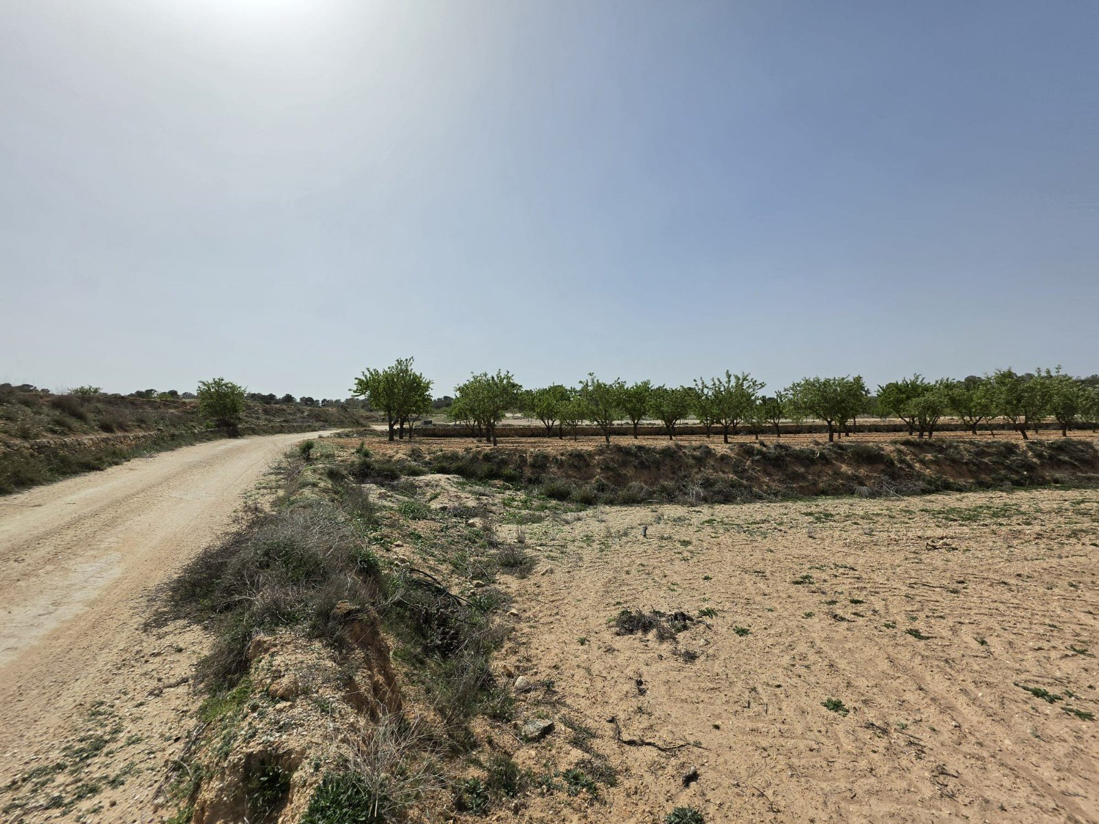 Land in Pinoso - Caza De Casa