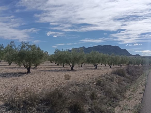 Land in Salinas - Caza De Casa