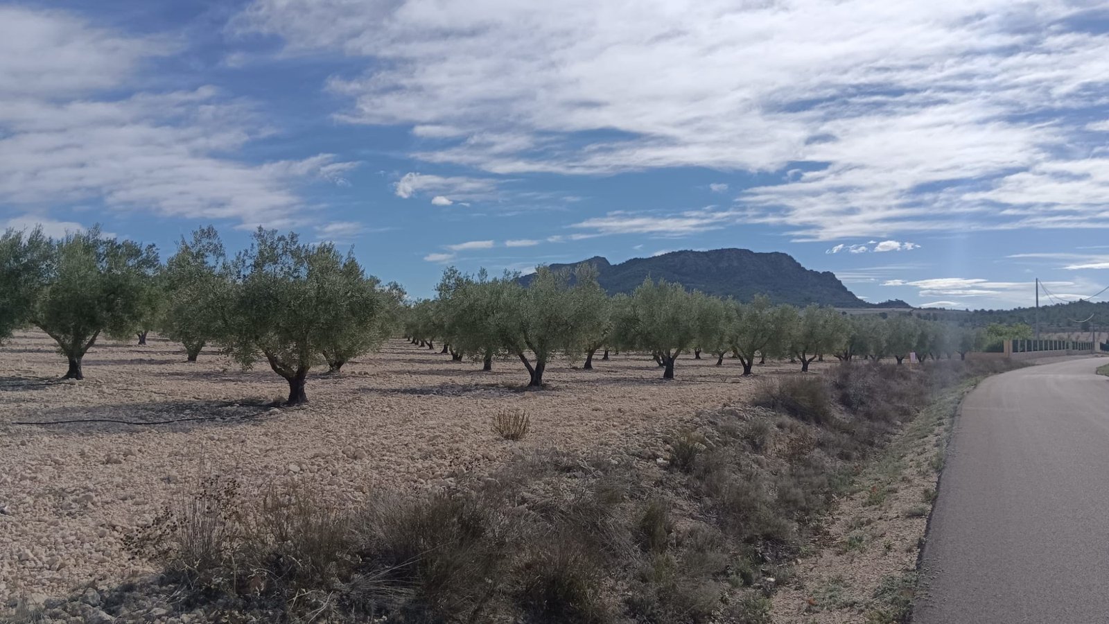 Land in Salinas - Caza De Casa