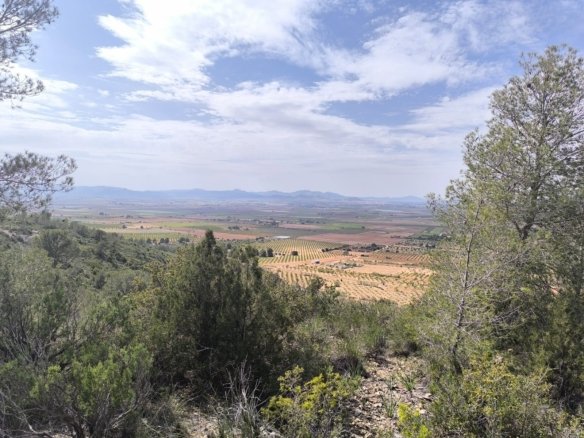 Land in Yecla - Caza De Casa