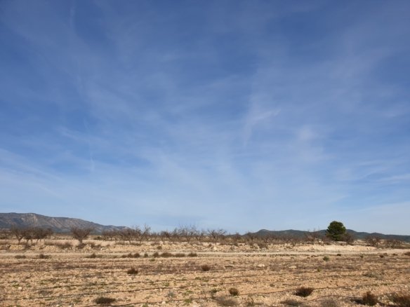 12,116 m² Land in Pinoso - Caza De Casa