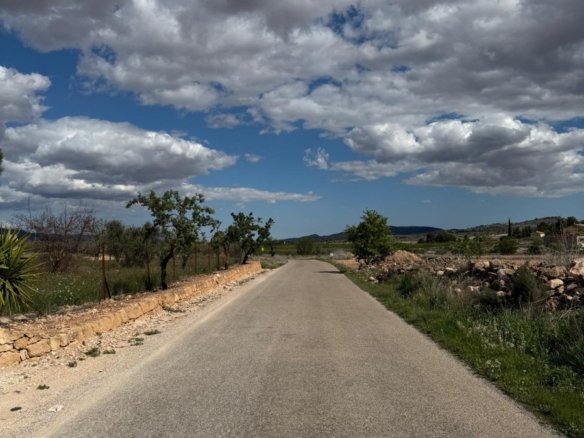 10,014 m² Land in Pinoso - Caza De Casa