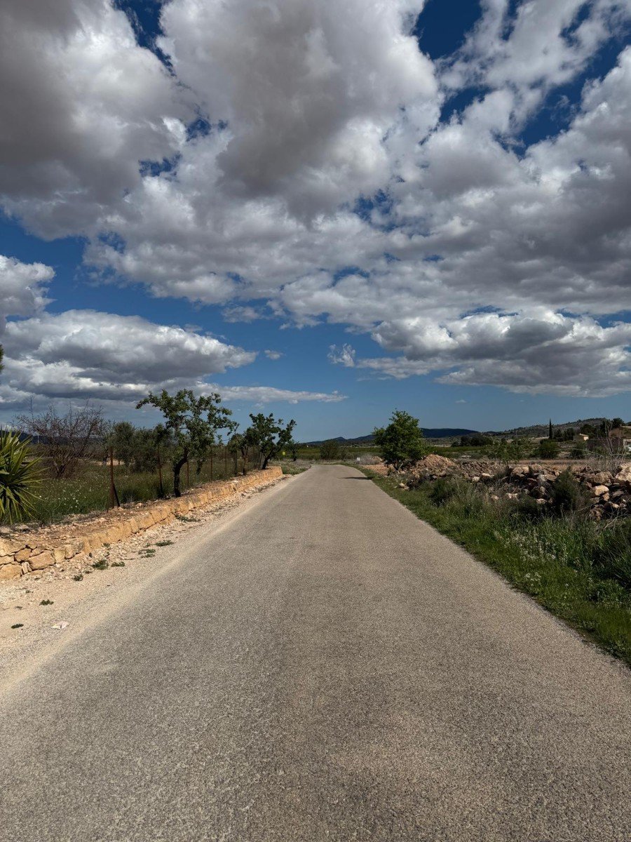 10,014 m² Land in Pinoso - Caza De Casa