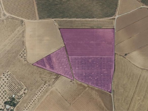55,162 m² Land in Yecla - Caza De Casa