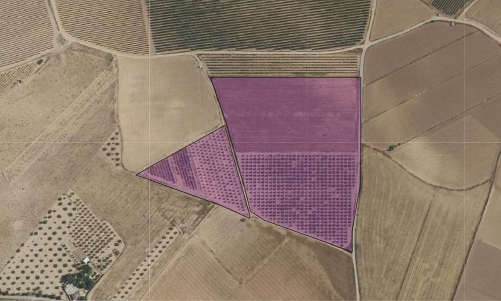 55,162 m² Land in Yecla - Caza De Casa