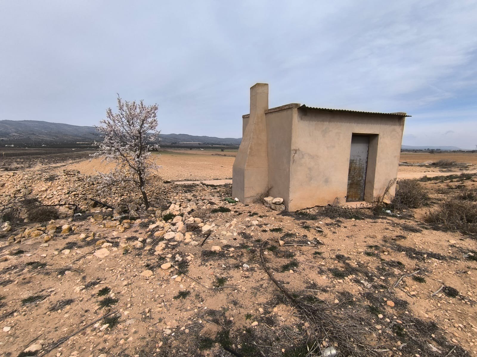 27,000 m² Land in Villena - Caza De Casa