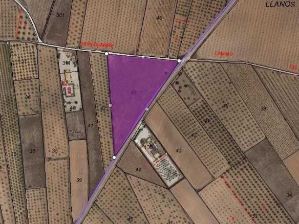 Land in Yecla - Caza De Casa