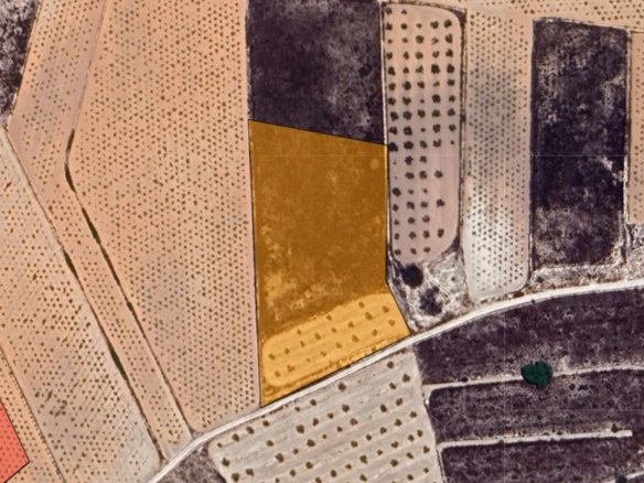 7,391 m² Land in La Solana - Caza De Casa