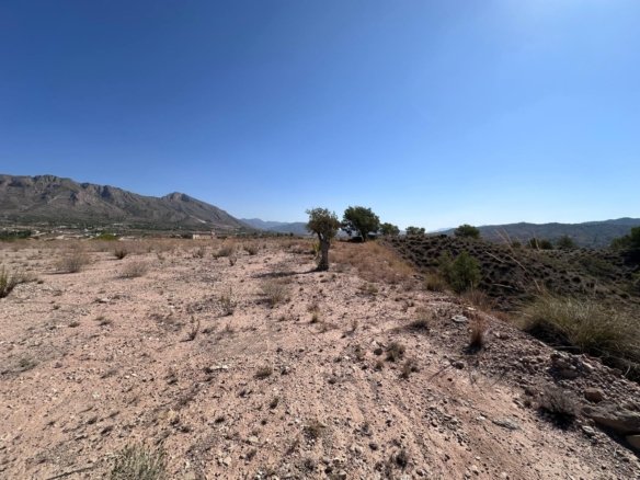 21,500 m² Land in Macisvenda - Caza De Casa