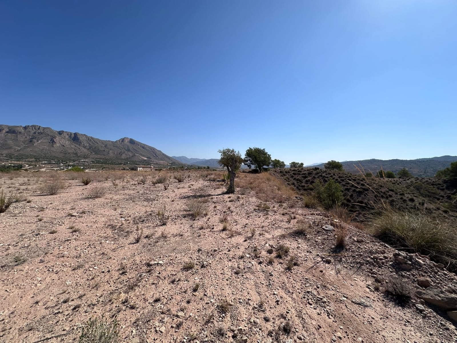 21,500 m² Land in Macisvenda - Caza De Casa