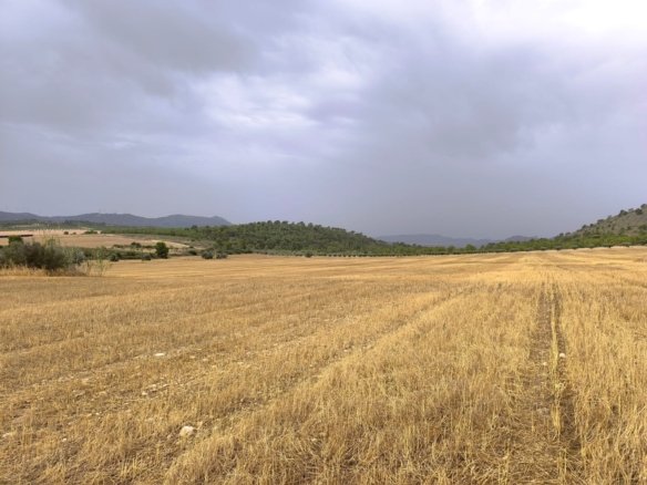 Land in Yecla - Caza De Casa