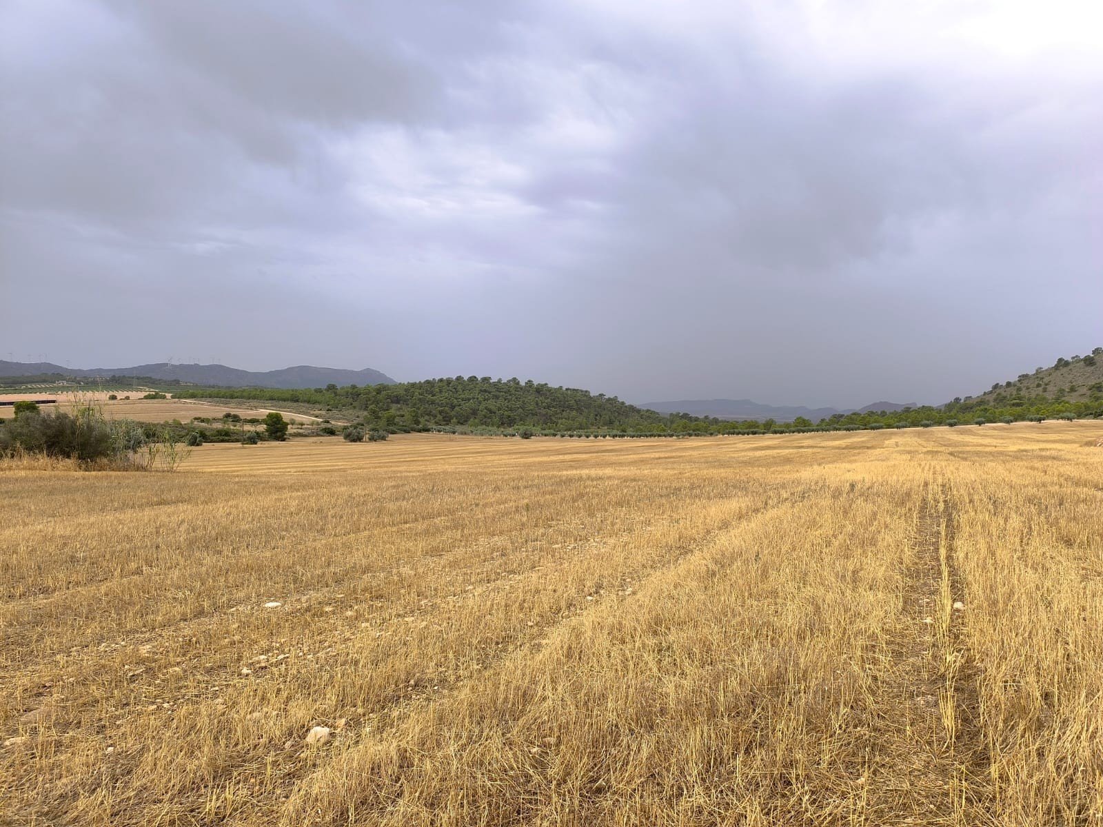 Land in Yecla - Caza De Casa