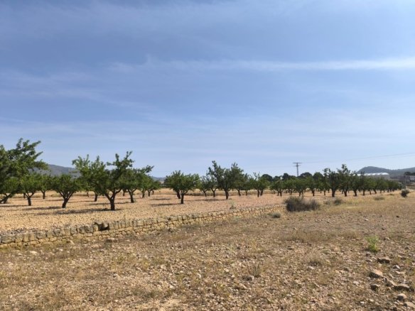 4,780 m² Land in Monóvar/Monóver - Caza De Casa