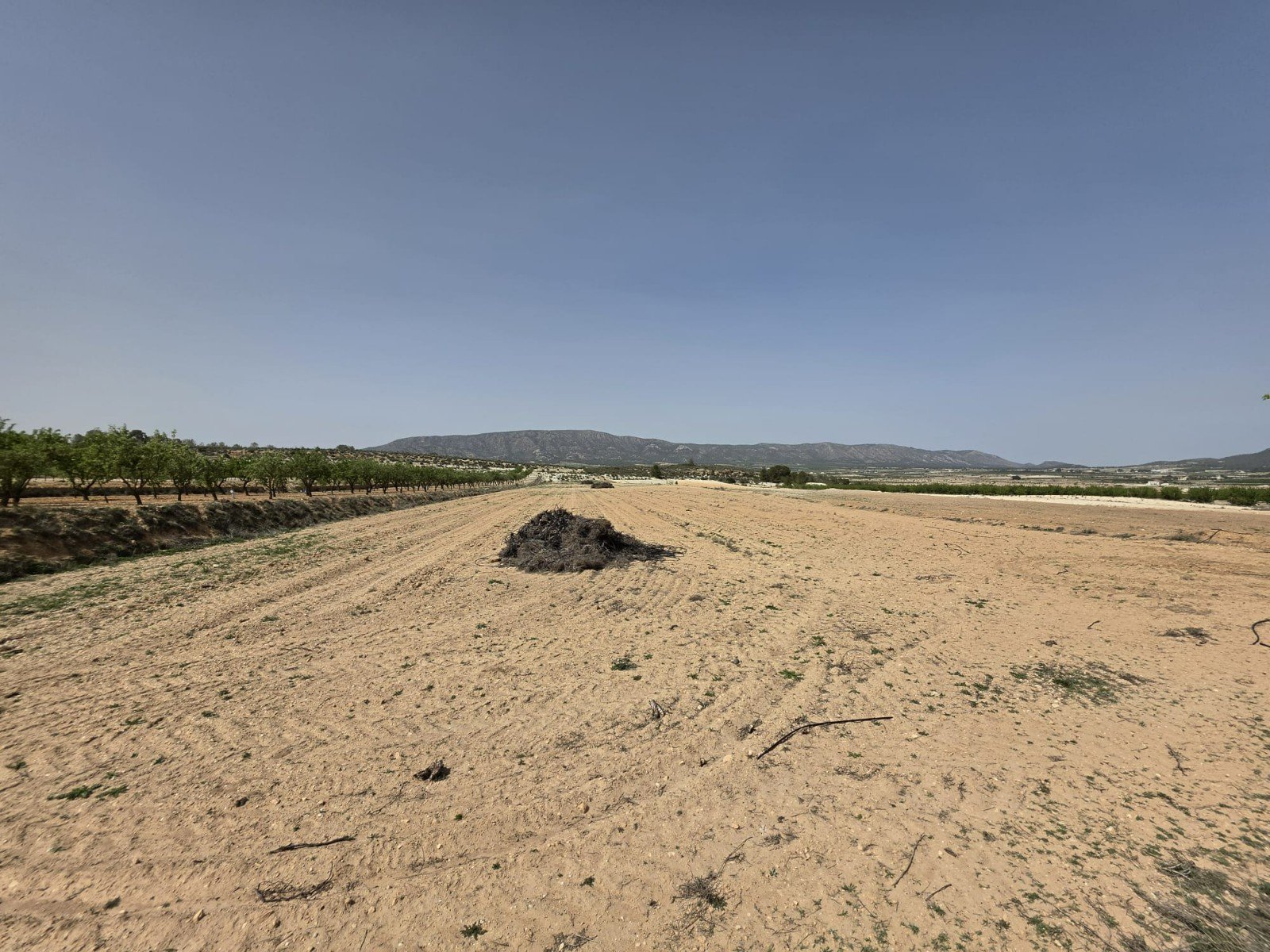 Land in Pinoso - Caza De Casa
