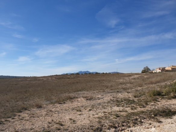 11,244 m² Land in Pinoso - Caza De Casa