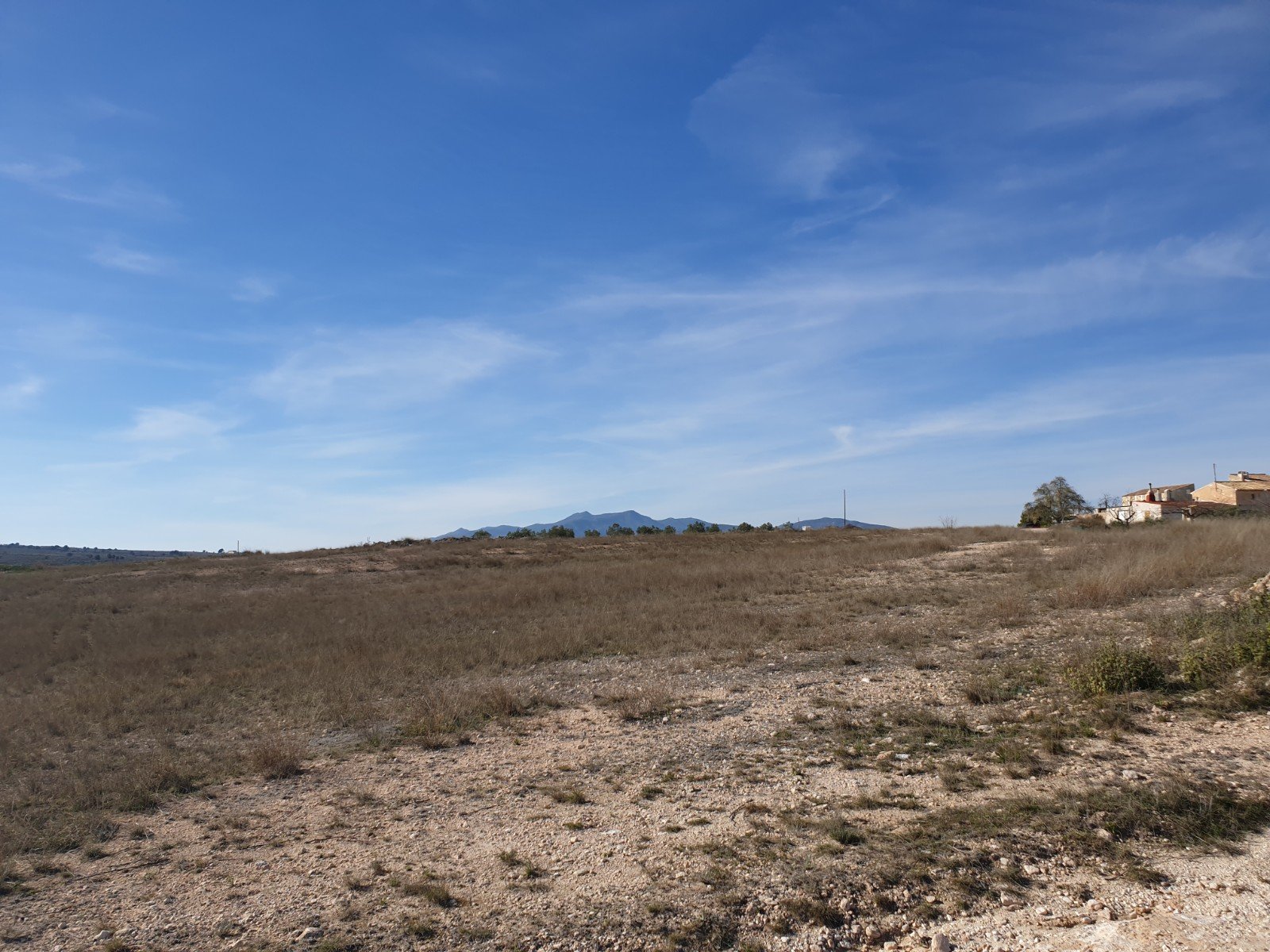 11,244 m² Land in Pinoso - Caza De Casa