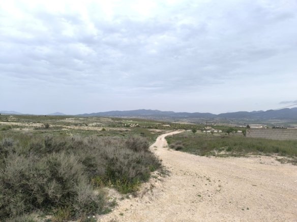 8 Bed Other in Las Encebras - Caza De Casa