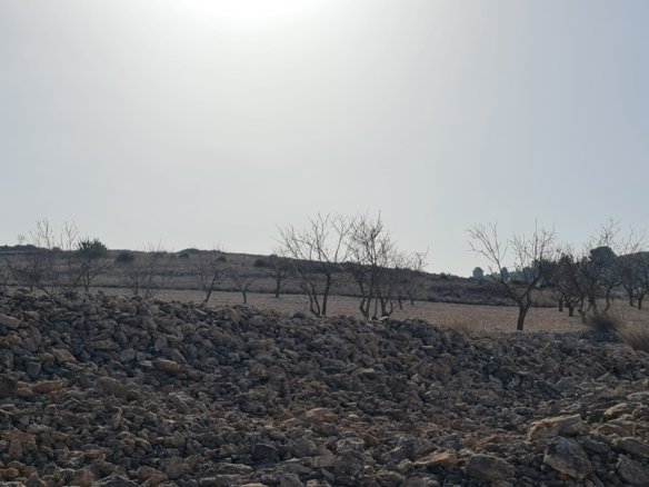 Land in Jumilla - Caza De Casa
