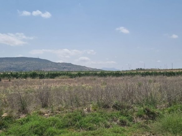 Land in Pinoso - Caza De Casa