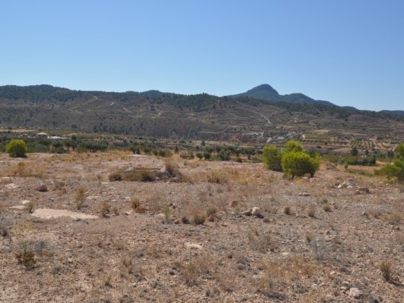 48,977 m² Land in Macisvenda - Caza De Casa