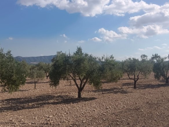 24,596 m² Land in Salinas - Caza De Casa