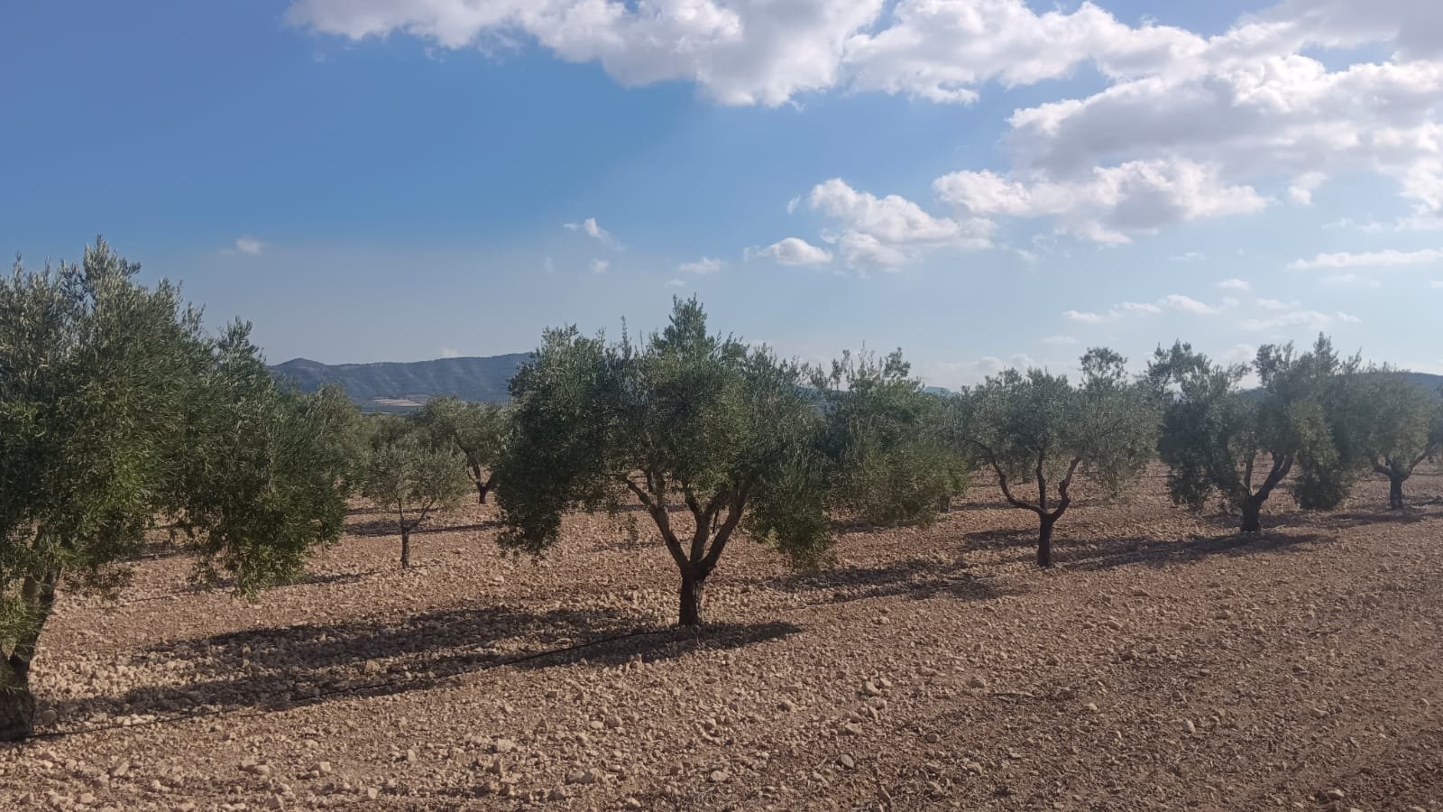 24,596 m² Land in Salinas - Caza De Casa