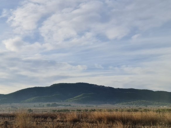 Land in Monóvar/Monóver - Caza De Casa