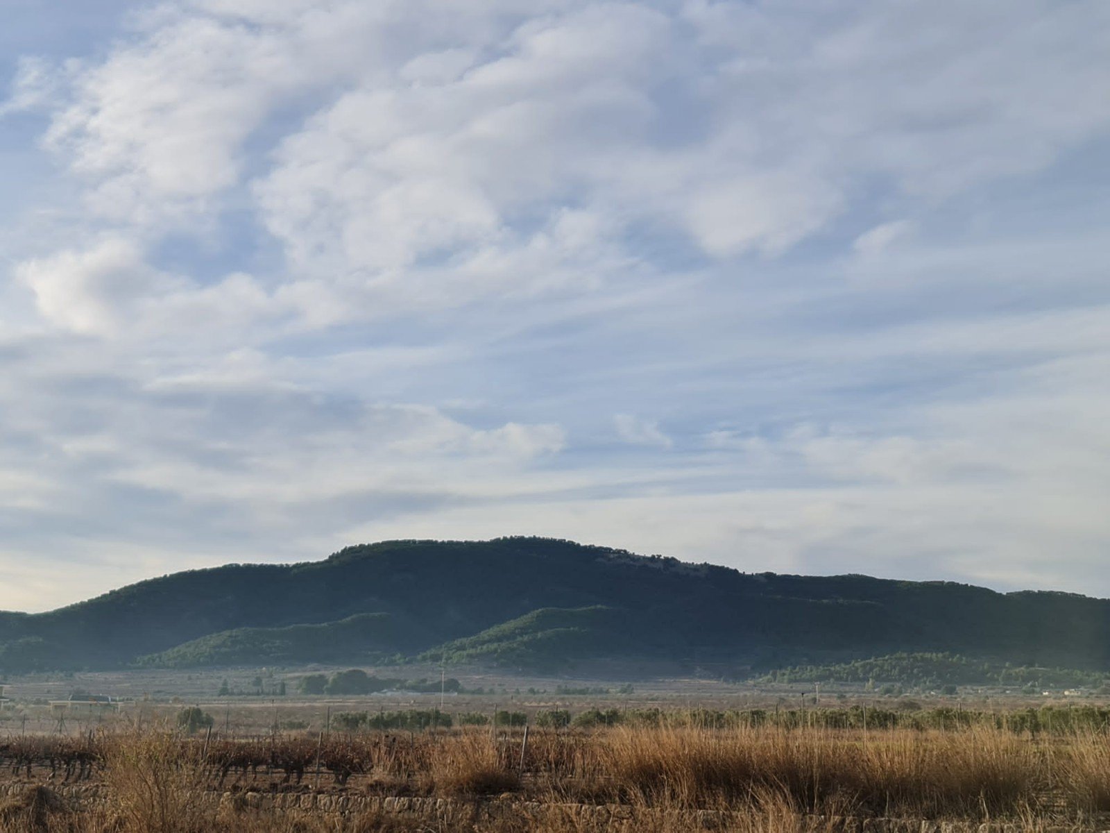 Land in Monóvar/Monóver - Caza De Casa