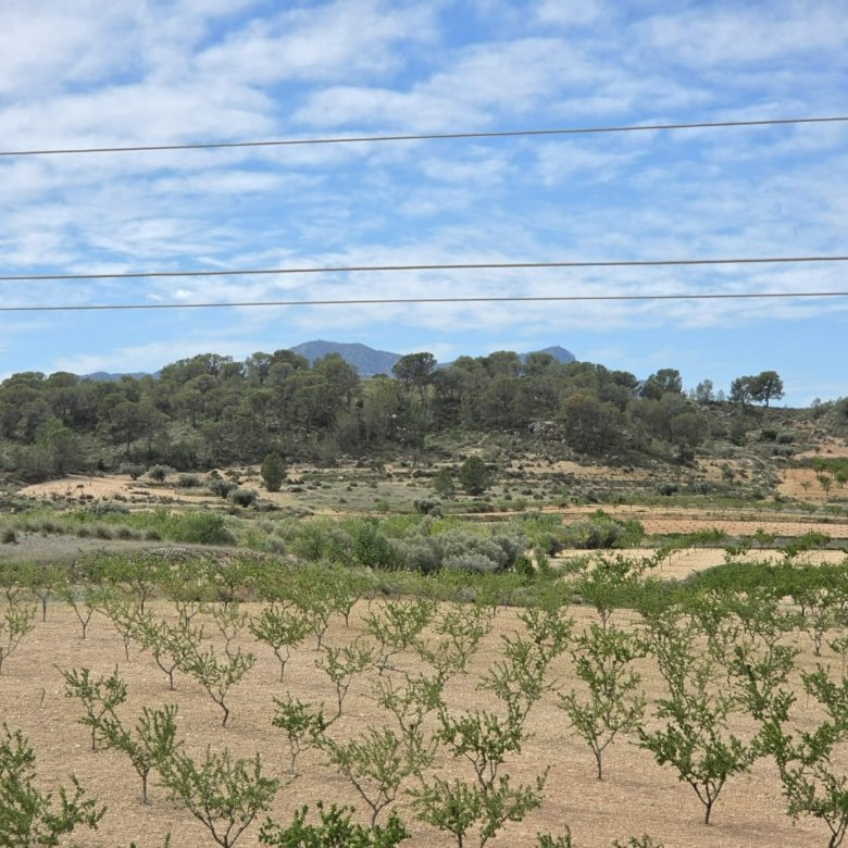 Land in Jumilla - Caza De Casa