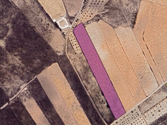 10,091 m² Land in La Solana - Caza De Casa