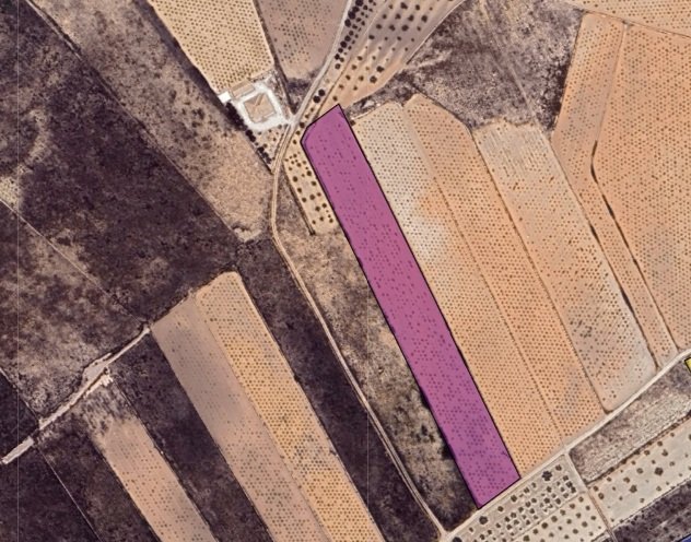 10,091 m² Land in La Solana - Caza De Casa