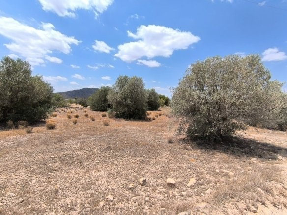 1 Bedroom 1 Bathroom Country House in Caudete - Caza De Casa
