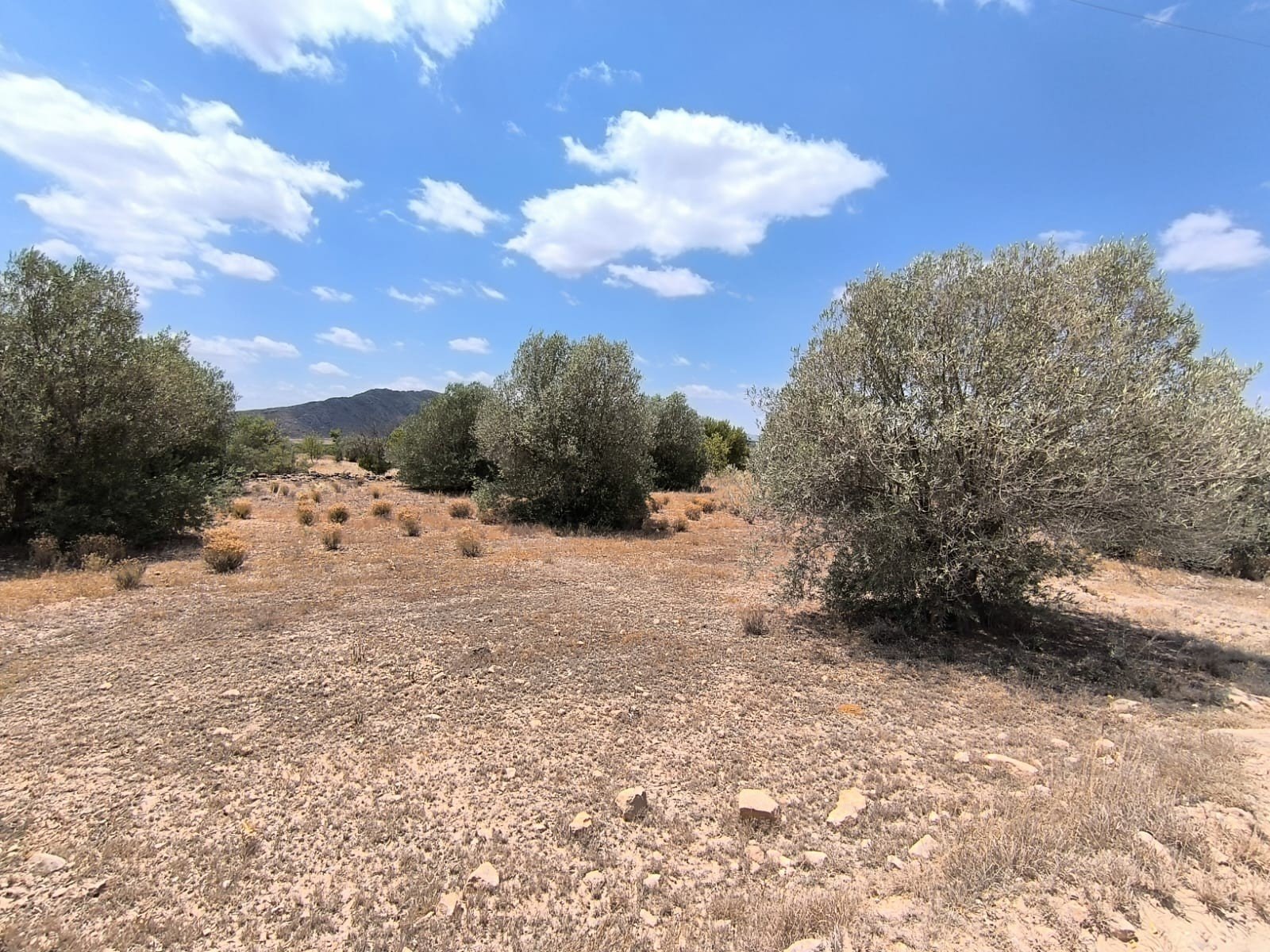 1 Bedroom 1 Bathroom Country House in Caudete - Caza De Casa
