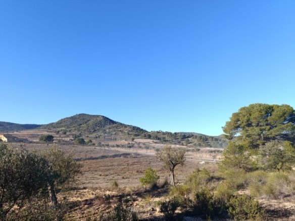 9,197 m² Land in Yecla - Caza De Casa