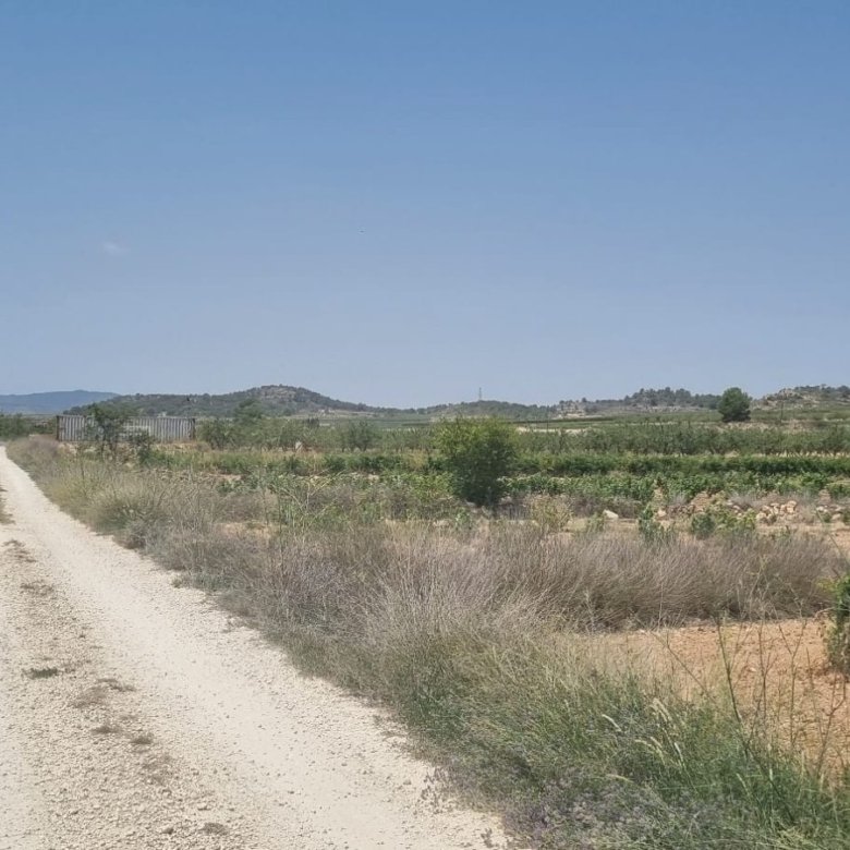 Land in Pinoso - Caza De Casa