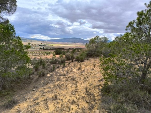 Land in Pinoso - Caza De Casa