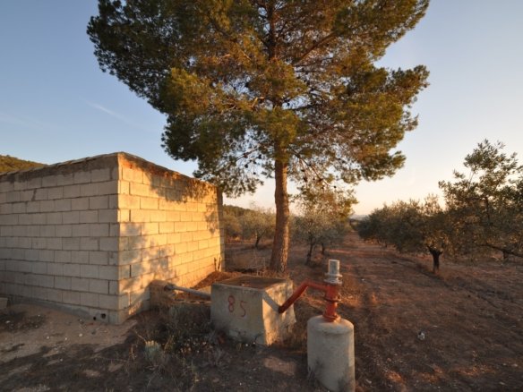 13,020 m² Land in Pinoso - Caza De Casa
