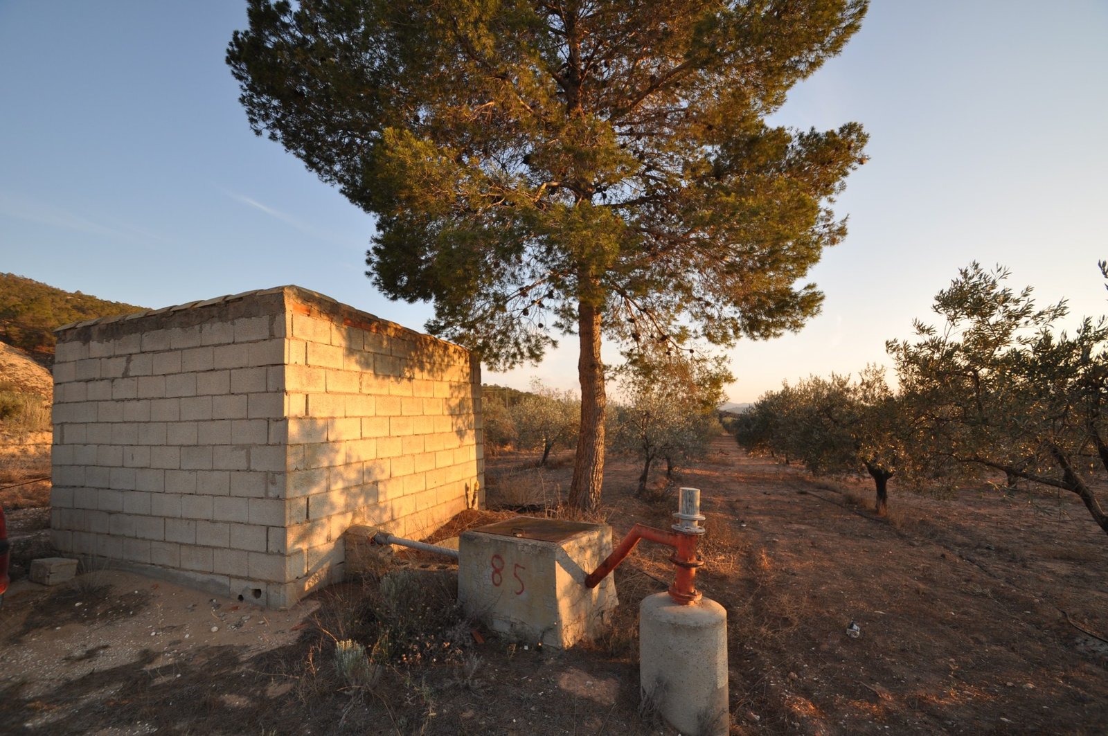 13,020 m² Land in Pinoso - Caza De Casa