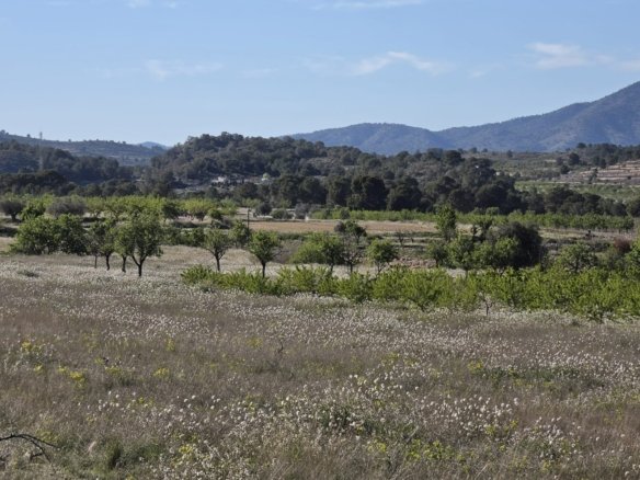 Land in Monóvar/Monóver - Caza De Casa