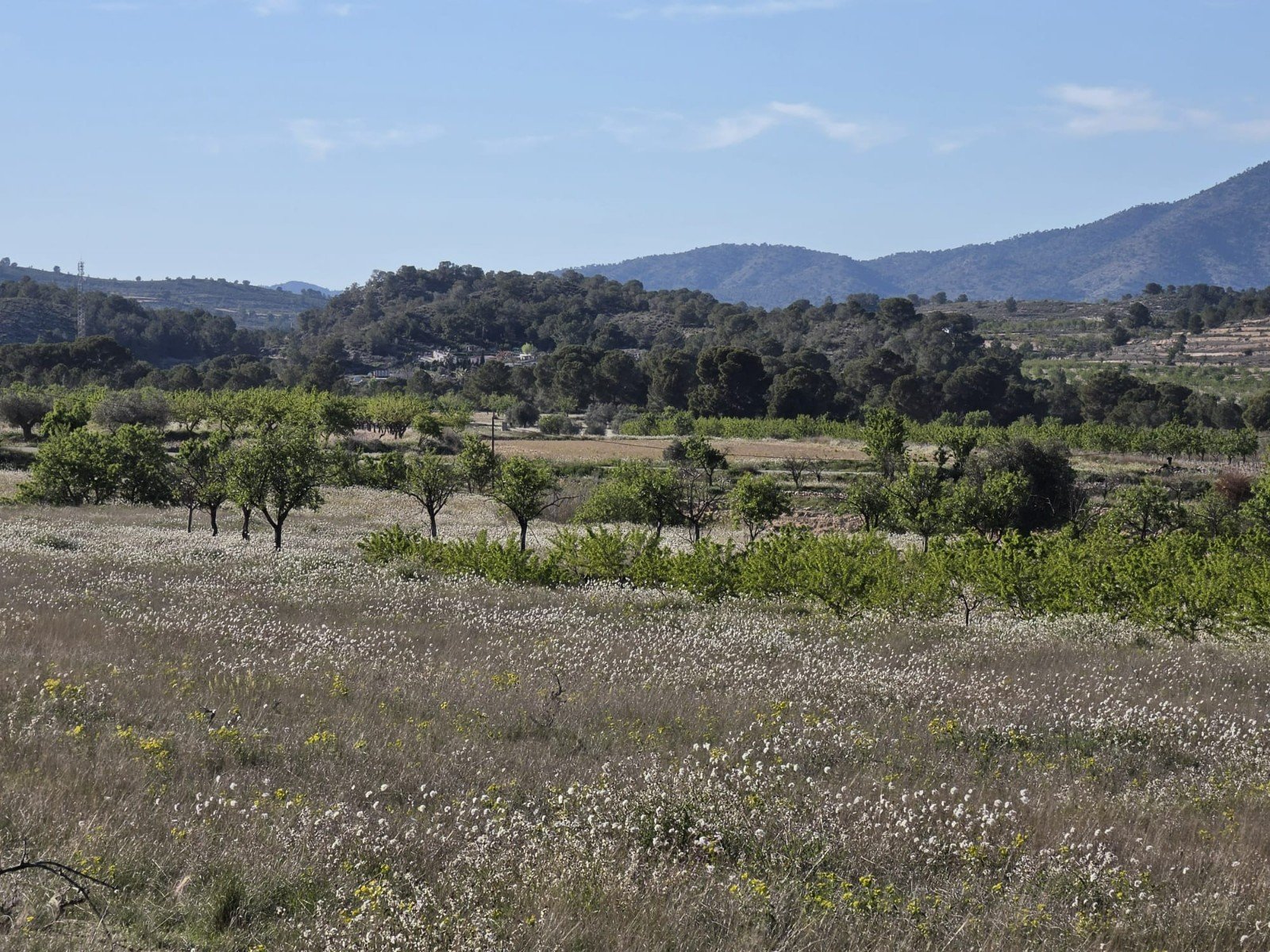 cfbbb99b47a5e4ac Land in Monóvar/Monóver - Caza De Casa