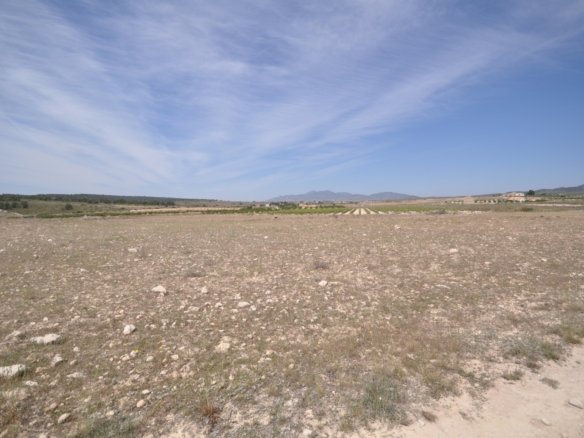 Land in Pinoso - Caza De Casa