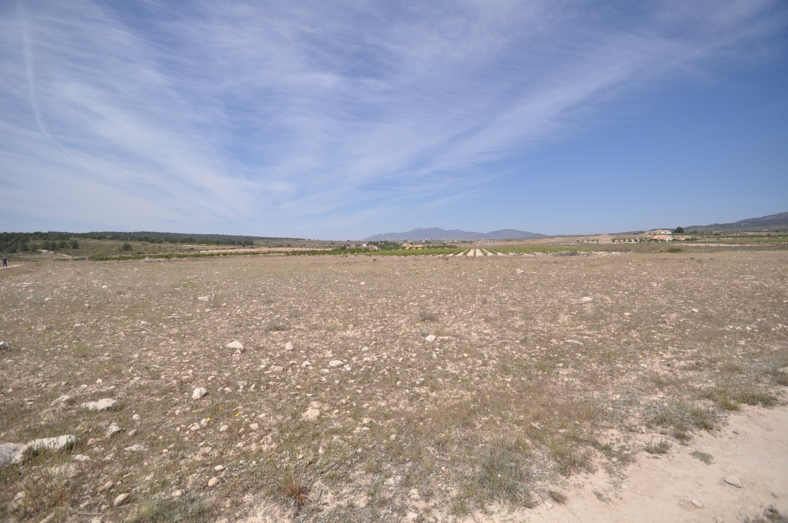 Land in Pinoso - Caza De Casa