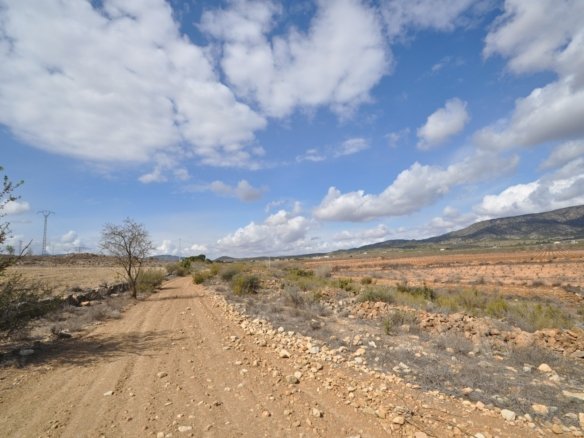 Land in Pinoso - Caza De Casa