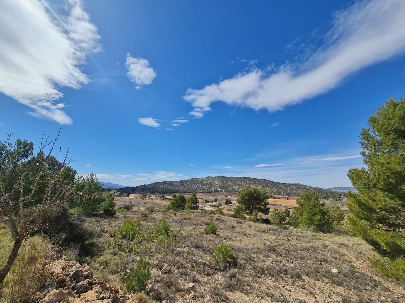 d17e5140a41c95c3 Land in Pinoso - Caza De Casa