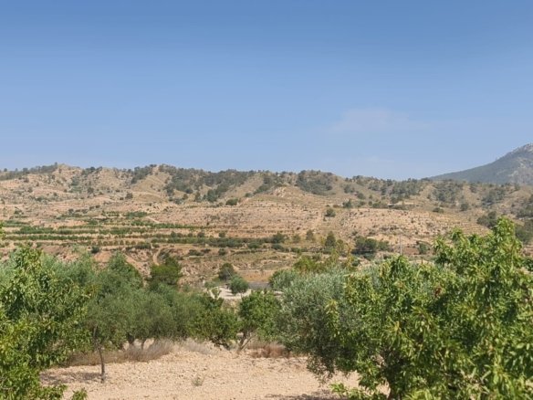 Land in Abanilla - Caza De Casa